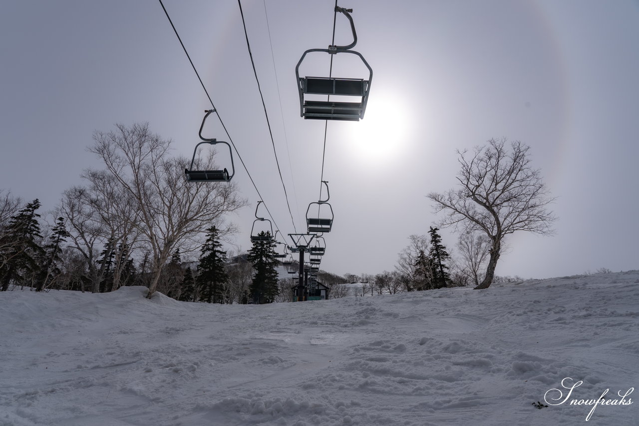 大雪山層雲峡・黒岳ロープウェイスキー場　本日の積雪 310cm。神々の遊ぶ庭でのんびり春スキー＆スノーボードを楽しみましょう♪